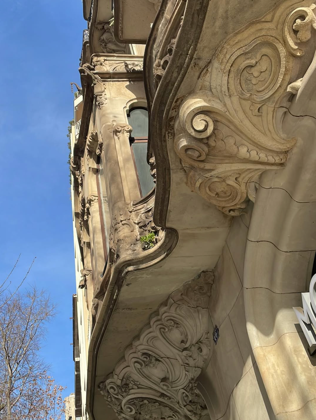 Screenshot 2026-01-20 at 11.28.29 PM